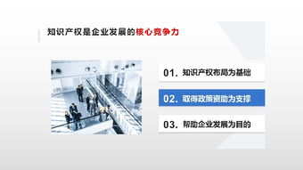 深圳商标代理服务 企业品牌保护的知产先锋